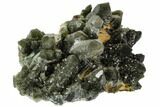 Prase Quartz Crystal Cluster - Mongolia #112368-2